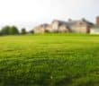 Exercer dans le domaine de l’immobilier en tant que professionnel : quelle formation suivre ?