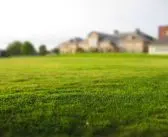 Exercer dans le domaine de l’immobilier en tant que professionnel : quelle formation suivre ?