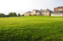 Exercer dans le domaine de l’immobilier en tant que professionnel : quelle formation suivre ?