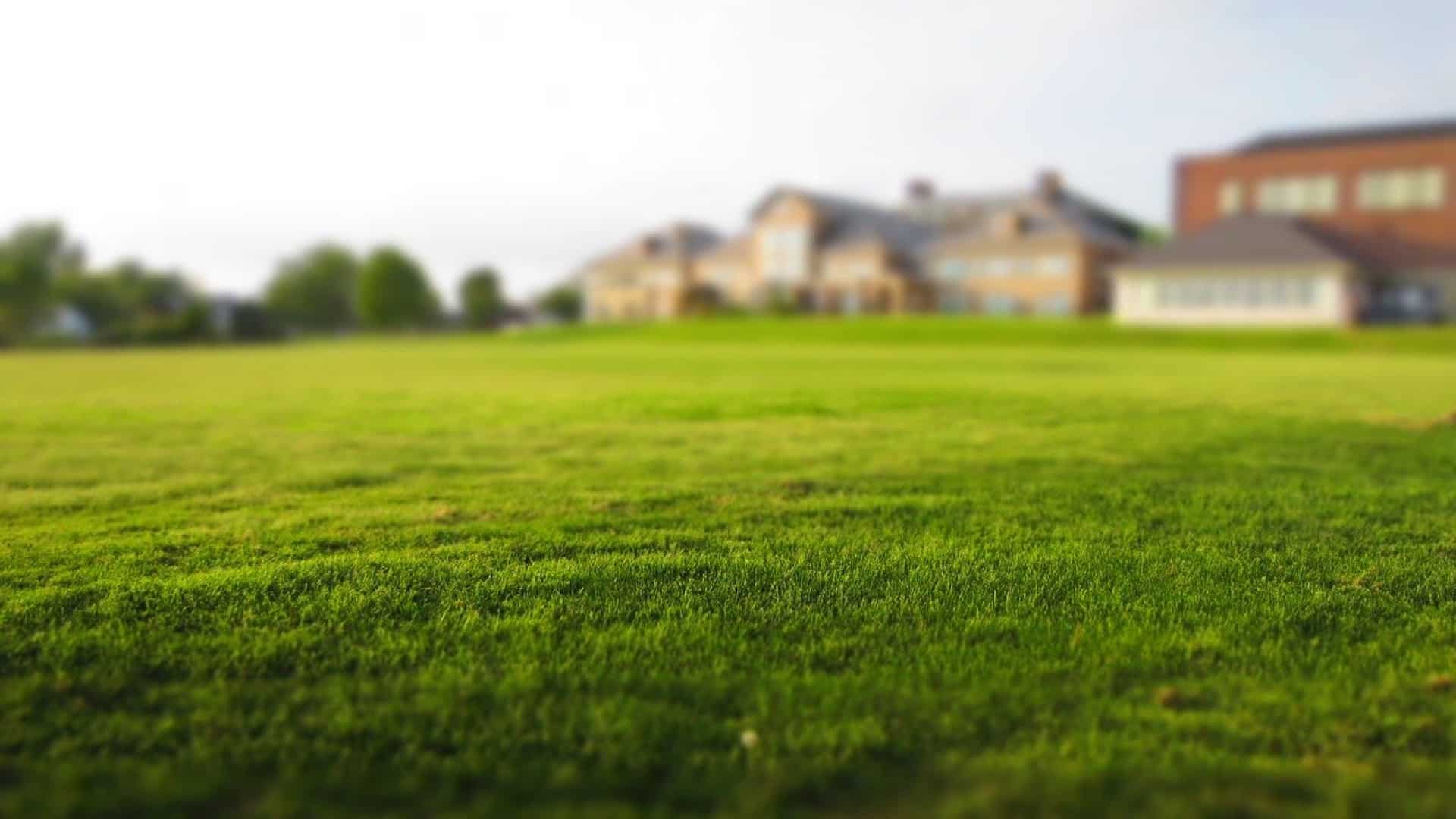 Exercer dans le domaine de l’immobilier en tant que professionnel : quelle formation suivre ?
