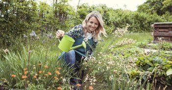3 métiers pour les amoureux des plantes